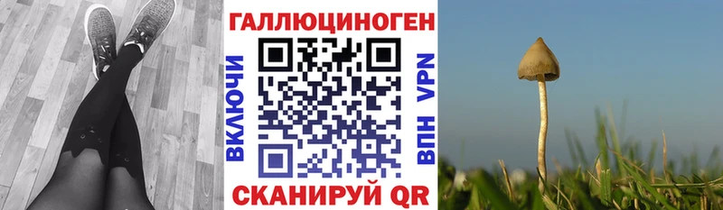 сколько стоит  omg маркетплейс  Галлюциногенные грибы мухоморы  Туринск 